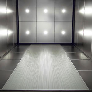 Elevator Ceiling in Stainless Steel with Sandstone finish, LED downlights shown 