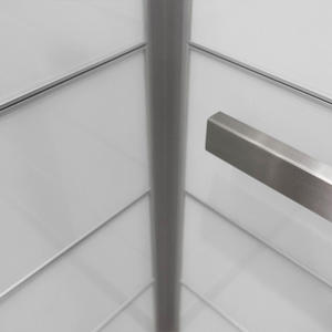 LEVELe-103 Elevator Interior with accent panels in ViviChrome Chromis glass