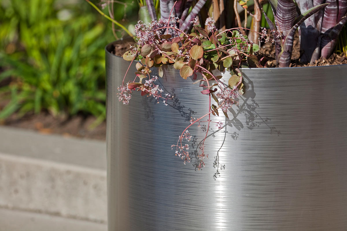 Details about   Blomus 14” Diameter Brushed Stainless Steel Planter 