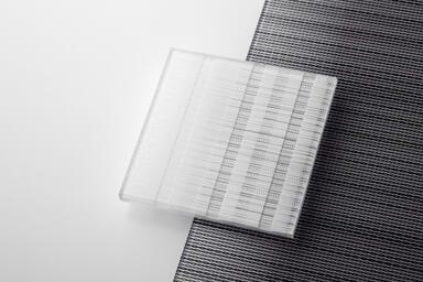 ViviTela Loom glass shown in View configuration with Abaca interlayer in White