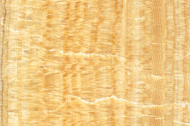 ViviStone Honey Onyx, slab A-1, shown in Reflect configuration; Size: 40&quot; X 80&quot;
