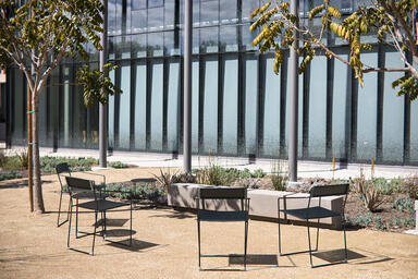 Linia Café Chairs shown with Black Texture powdercoated seat, back and frame