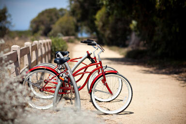 Bike Garden Bike Racks, cast-in-place, Aluminum Texture powdercoat