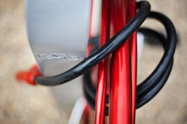 Olympia Bike Rack shown with Aluminum Texture powdercoat