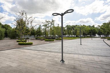 Aptos Pedestrians shown in double luminaire configuration with Slate Texture