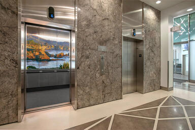 LEVELe-105A Elevator Interior; LightPlane Panels in ViviSpectra Zoom glass 