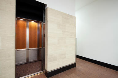 LEVELc-2000 Elevator Interior with insets in custom American Cherry wood veneer