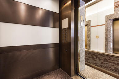 LEVELe-104 Elevator Interior with main panels in ViviChrome Chromis