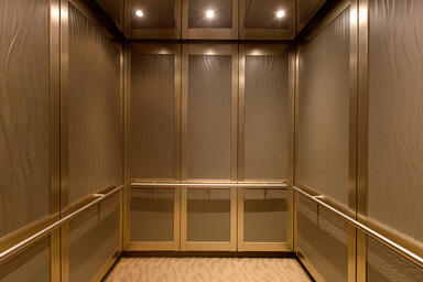 LEVELc-2000N Elevator Interior with upper insets in Bonded Nickel Silver