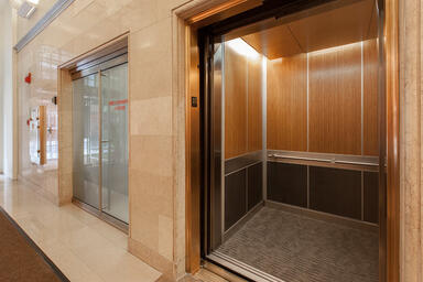 LEVELe-105 Elevator Interior with upper panels in custom bamboo wood veneer; low