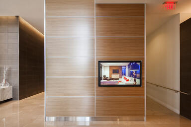 LEVELe Wall Cladding System with Capture panels; insets in custom wood veneer 