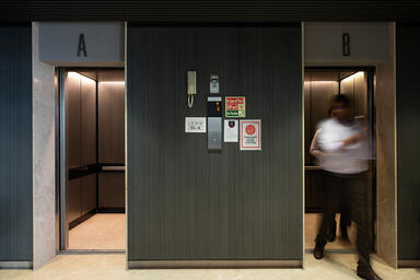 LEVELe-105 Elevator Interiors, Capture panels in Bonded Aluminum