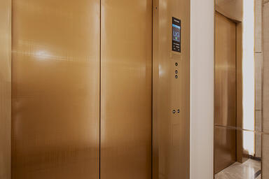 Elevator door in Fused Bronze with Satin finish and custom Thatch Eco-Etch