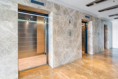LEVELe-103 Elevator Interior with Minimal panels in Fused White Gold