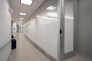 Partition wall and door with ViviGraphix Gradiance glass, Scatter interlayer