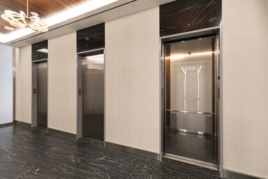 LEVELe-102 Elevator Interior with customized panel layout; panels in ViviGraphix