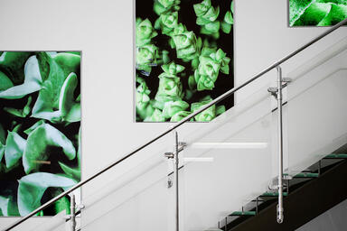 LightPlane Panels in ViviSpectra Spectrum glass with custom image interlayers 