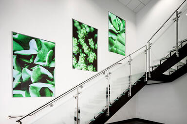 LightPlane Panels in ViviSpectra Spectrum glass with custom image interlayer