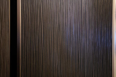 LEVELe-101 Elevator Interior; Capture panels in Bonded Bronze with Dark Patina a