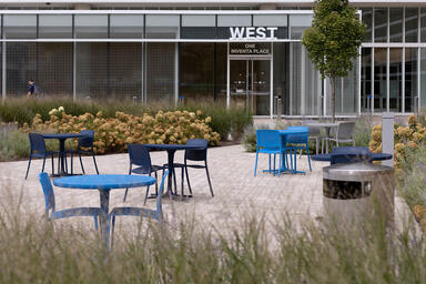 Avivo Chairs with Silver Texture, custom Cobalt Texture and Azure Texture