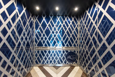 LEVELe-106 Elevator Interior; Capture panels in ViviSpectra Spectrum glass