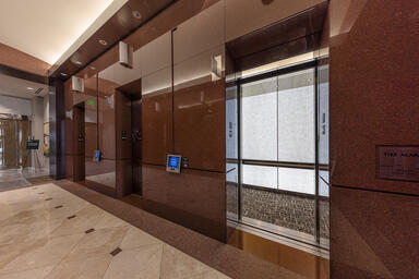 LEVELe-106 Elevator Interior: LightPlane Panels with ViviTela Shibori glass.
