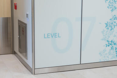 LEVELe Wall Cladding System with Capture panels; insets in ViviSpectra Spectrum