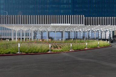 Light Column Bollards in Stainless Steel with Satin finish at Loma Linda