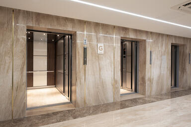 LEVELe-105 Elevator Interiors with customized panel layout; Capture panels in Vi
