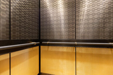 LEVELe-105 Elevator Interior; Capture panels in CastGlass Profile Levels glass