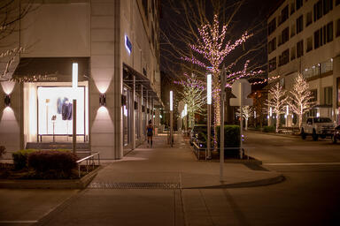 Light Column Pedestrian Lighting in Stainless Steel with Satin finish shown with