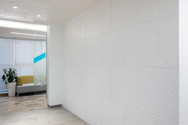 Wall and ceiling panels in Bonded Quartz, White, in Crinkle pattern at Sian