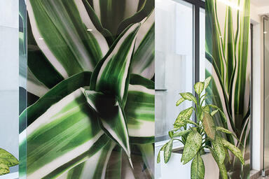 Wall panels in ViviSpectra Zoom glass in Reflect configuration with Dracena