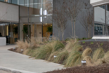 Rincon Pathway Bollards shown in Stainless Steel with Satin finish at Town &amp; Cou