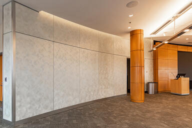 LEVELe Wall Cladding System with Blind panels; insets in ViviGraphix