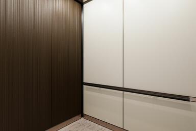 LEVELr-201B Elevator Interior; panels in ViviChrome Chromis glass